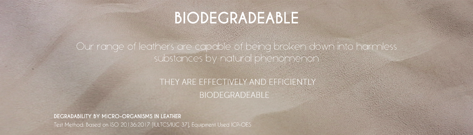 http://www.sscgrp.com/wp-content/uploads/2022/04/Biodegradable.png